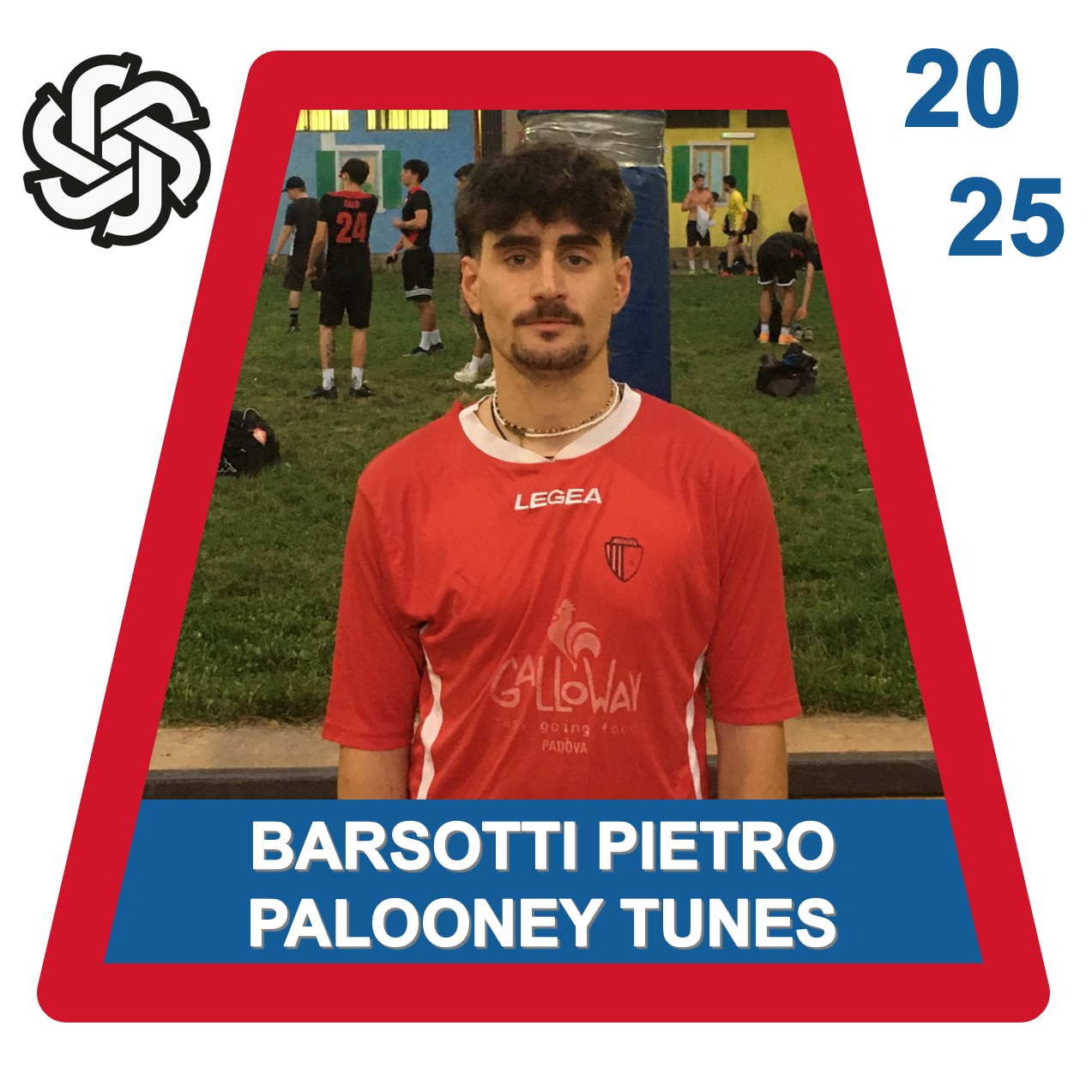 PALOONEY TUNES