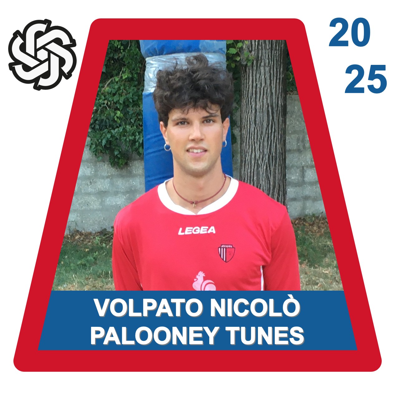PALOONEY TUNES