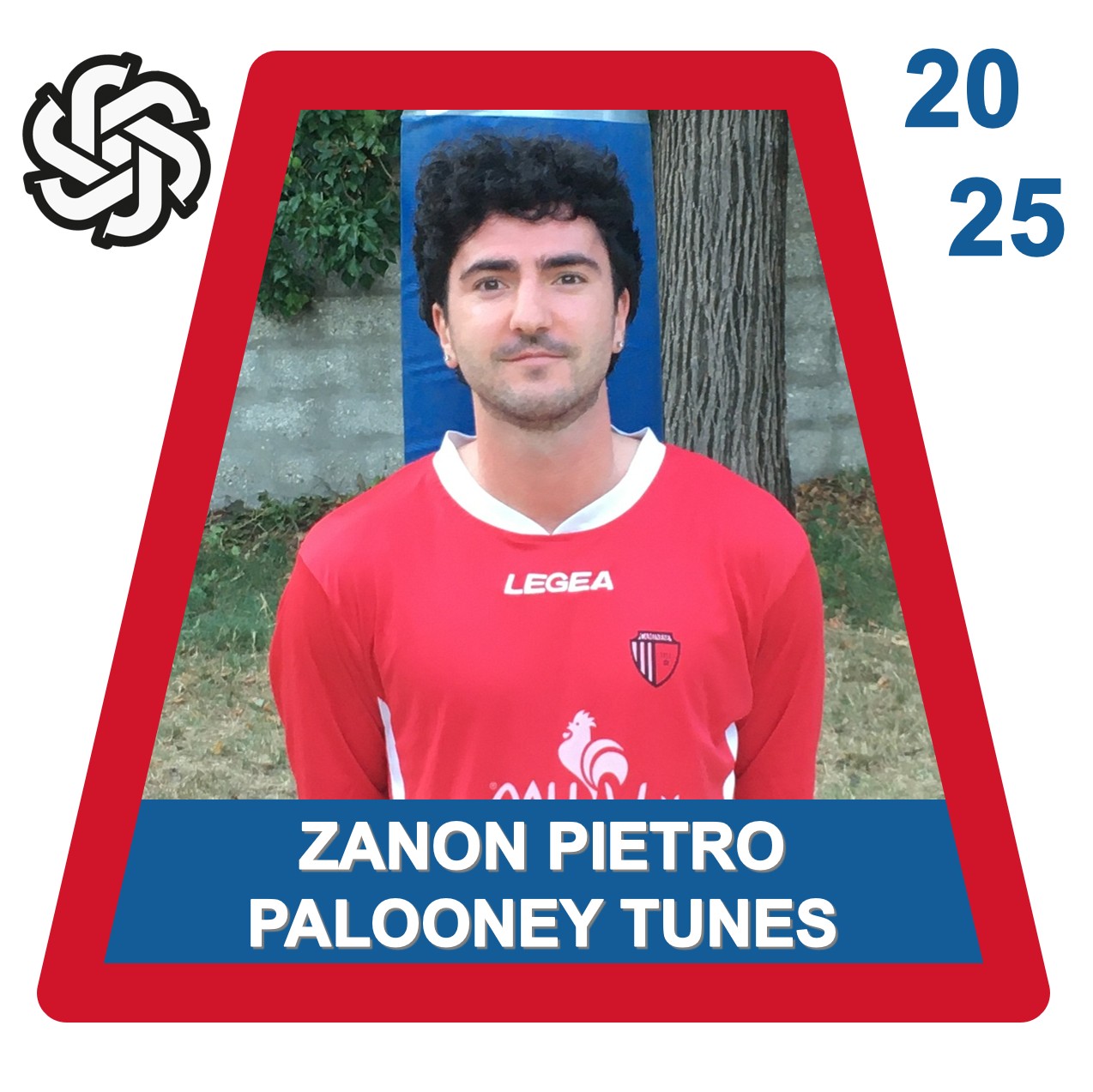 PALOONEY TUNES