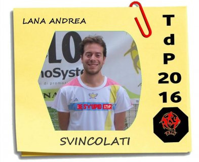Squadre e Responsabili 2016