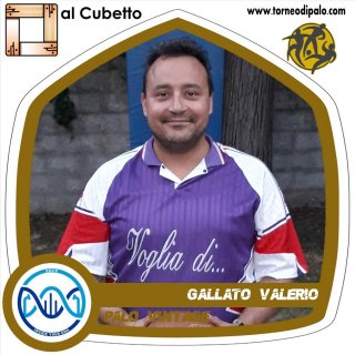 PALO VINTAGE