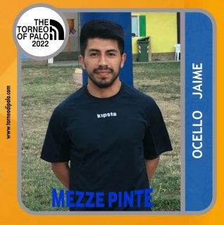 MEZZE PINTE