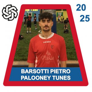 PALOONEY TUNES
