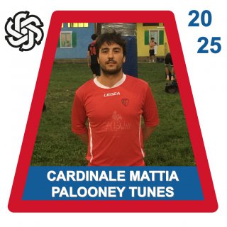 PALOONEY TUNES