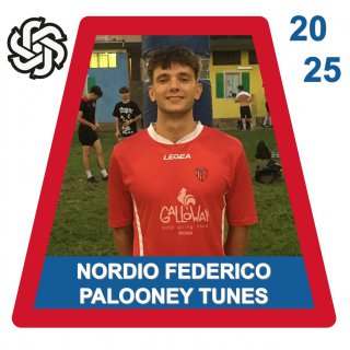 PALOONEY TUNES