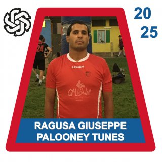 PALOONEY TUNES