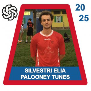 PALOONEY TUNES