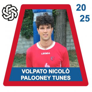 PALOONEY TUNES