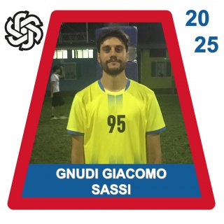 SASSI