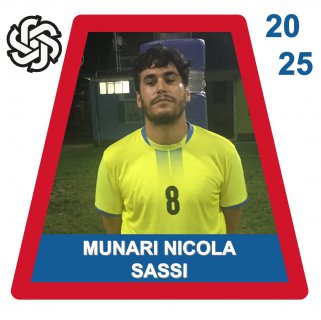 SASSI