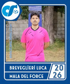 MALA DEL FORCE