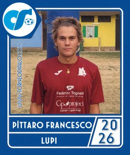 LUPI