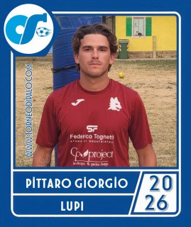 LUPI