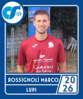 LUPI