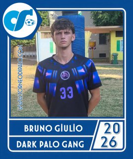DARK PALO GANG