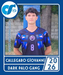 DARK PALO GANG