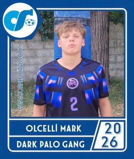 DARK PALO GANG