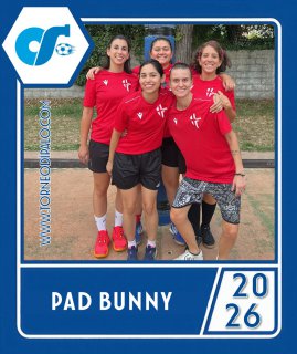 PAD BUNNY