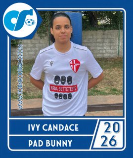PAD BUNNY